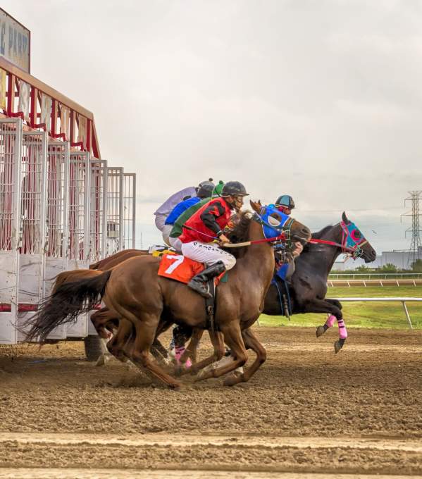 The Fargo-Moorhead-West Fargo Summer Bucket List: 30+ Things to Do This Summer