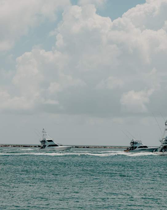 Things to do-fishing-charters-offshore