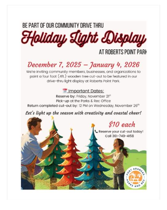 Holiday Light Display