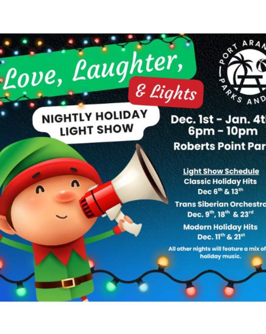 Drive-Through Holiday Light Show