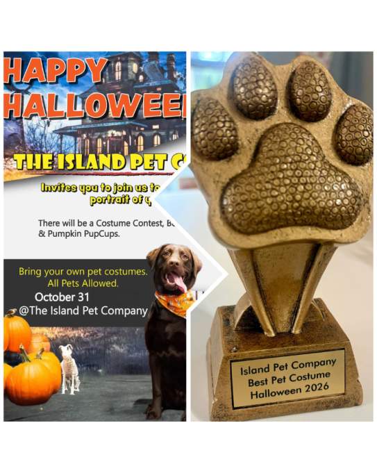 Halloween Pics and pet costume contest @ Island Pet Company