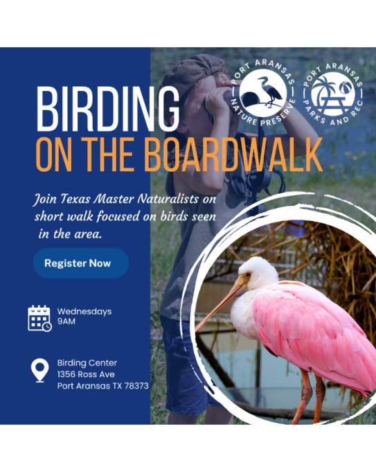 Birding on the Boardwalk