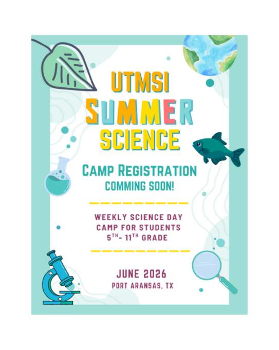 UTMSI Summer Science Camp
