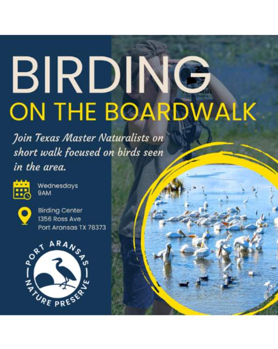 Birding on the Boardwalk