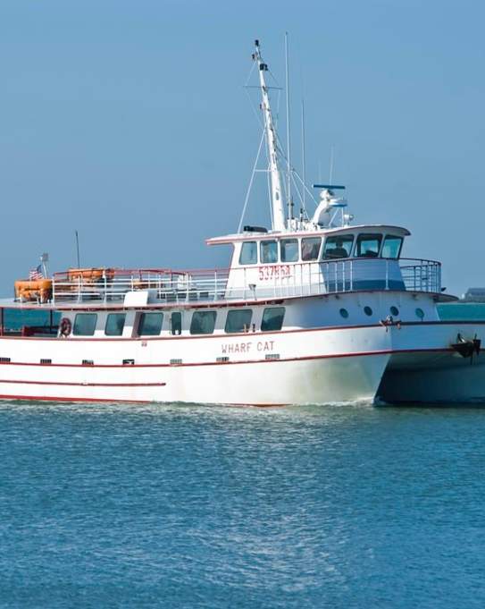 Port Aransas Fisherman's Wharf, LLC