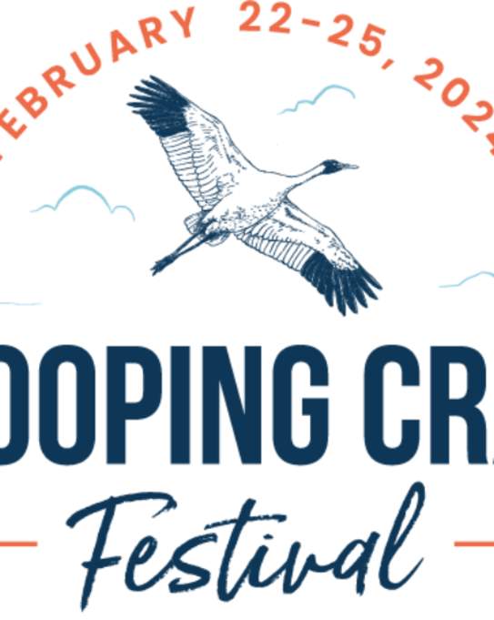 Whooping Crane Festival