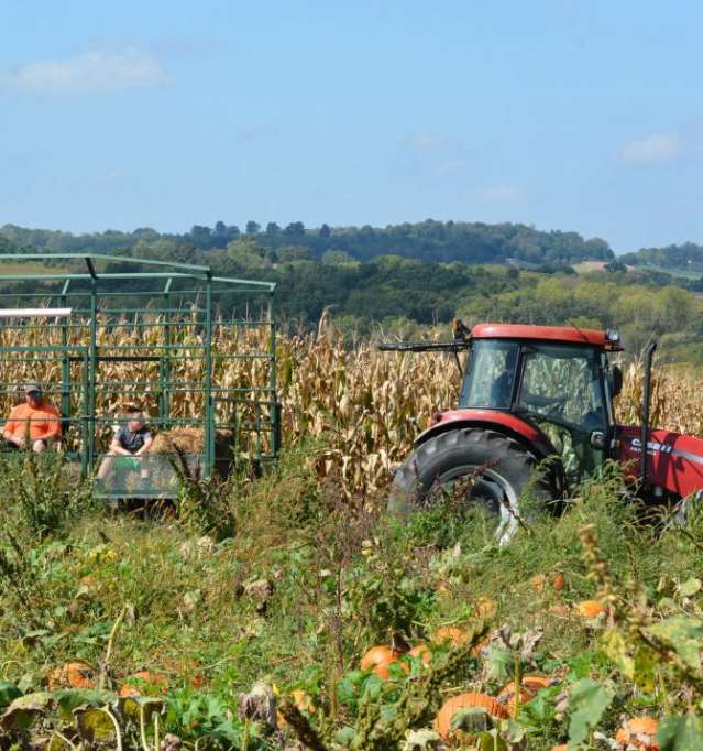 Dittmar Farms