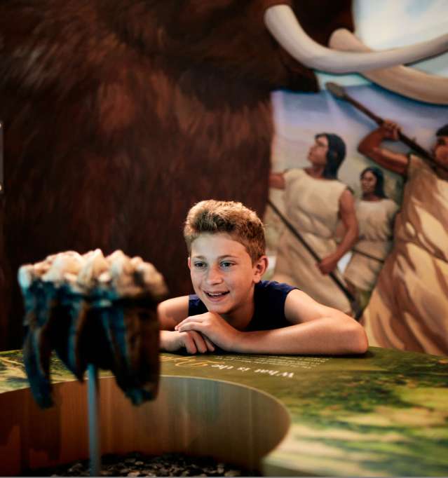 Boy looking at museum exhibit in Galena Country