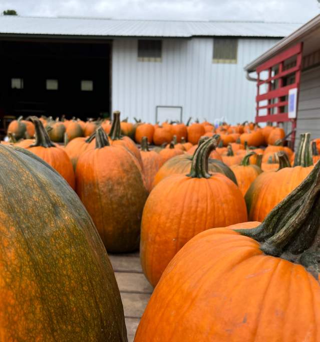 Halloween in Oshkosh