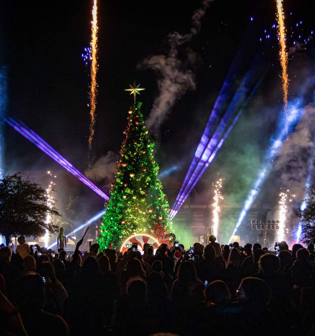 Christmas Tree Lighting