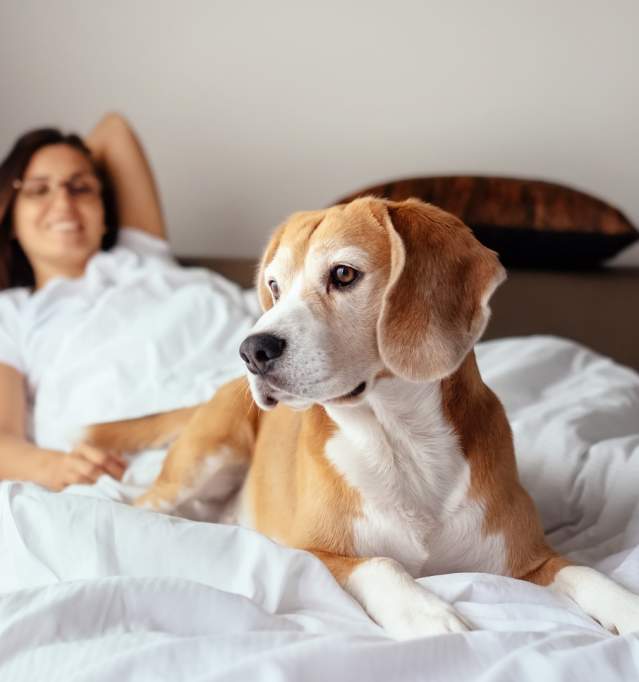 Woman and dog on bed