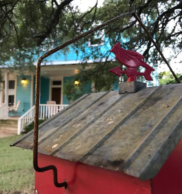 Bird House in front of Bed and Breakfast