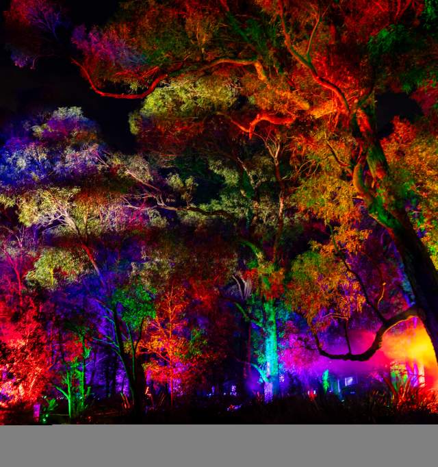 Lightscape Perth in Kings Park