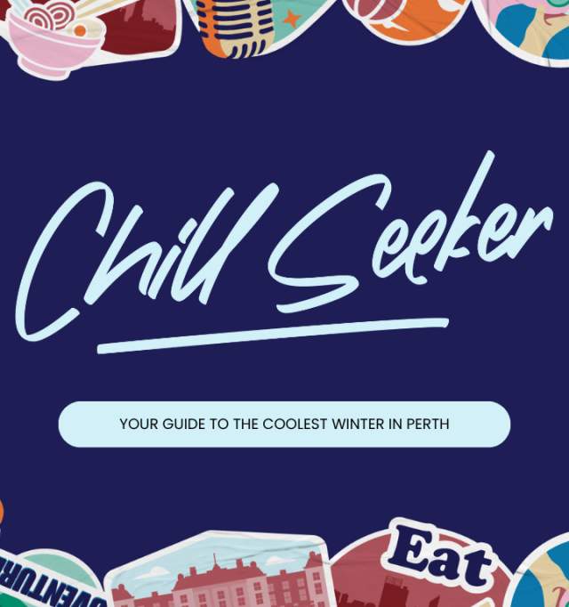 Chill Seeker - Homepage Banner