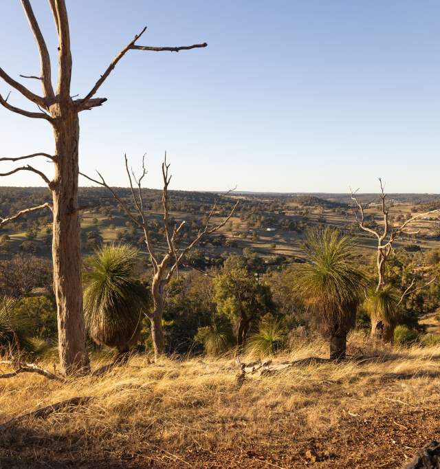 Aerial of Chittering