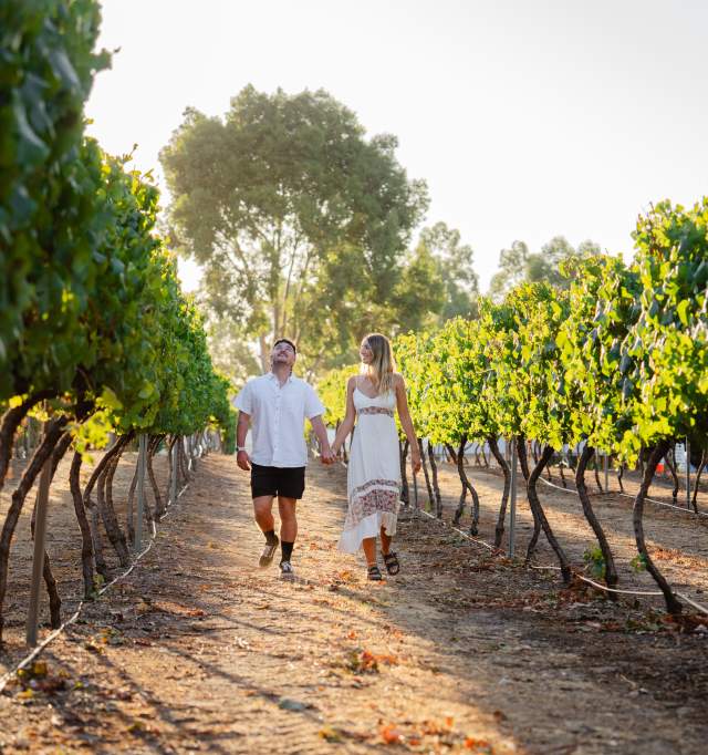 Dwellingup Red Gum Wine Estate