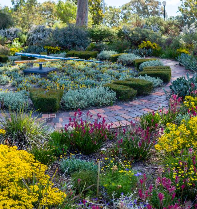Kings Park Botanic Garden