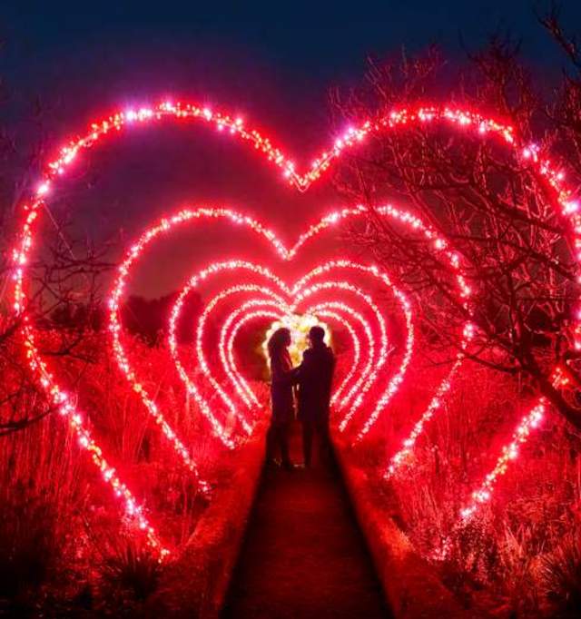 Lightscape