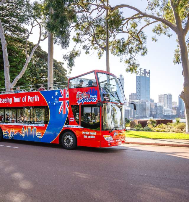 Perth Explorer Bus Tour, Kings Park