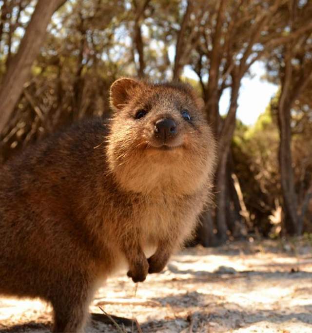 Discover Perth