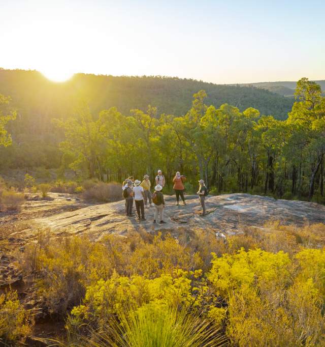 The Hike Collective, Perth Hills
