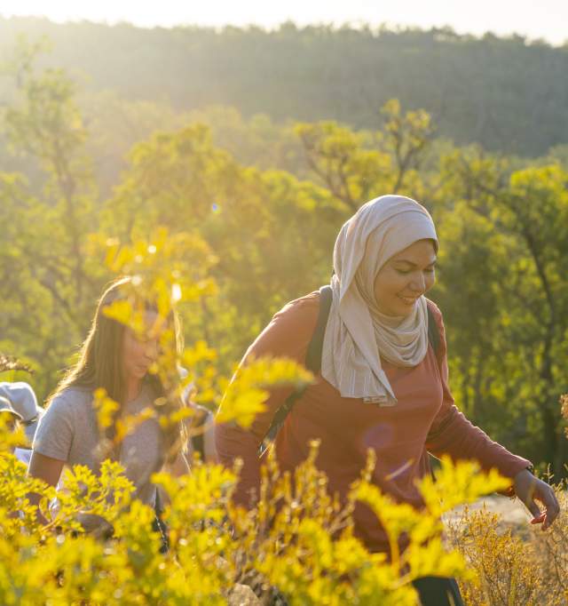 Hiking through wildflowers near Mundaring with The Hike Collective, Perth Hills