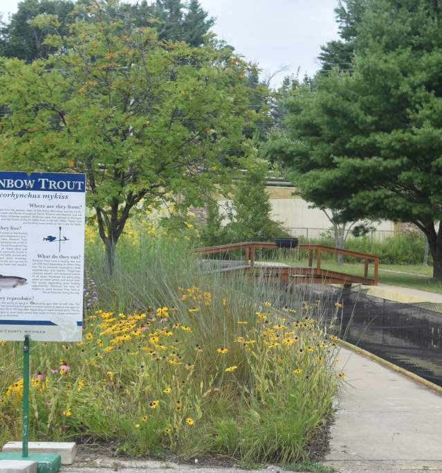 Fish Hatchery 2025 runway and sign