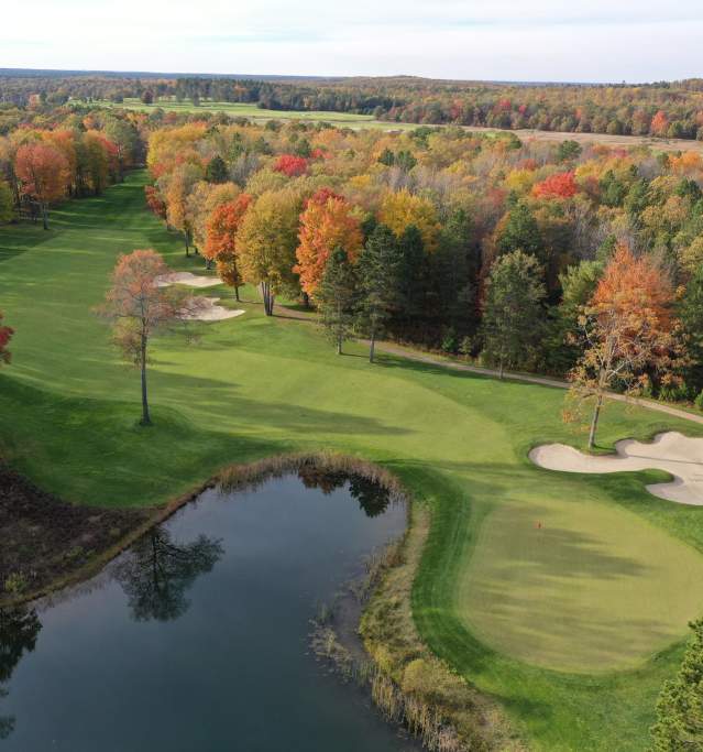 Forest Dunes in the Fall