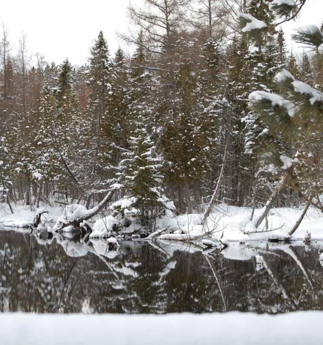 AuSable River Winter
