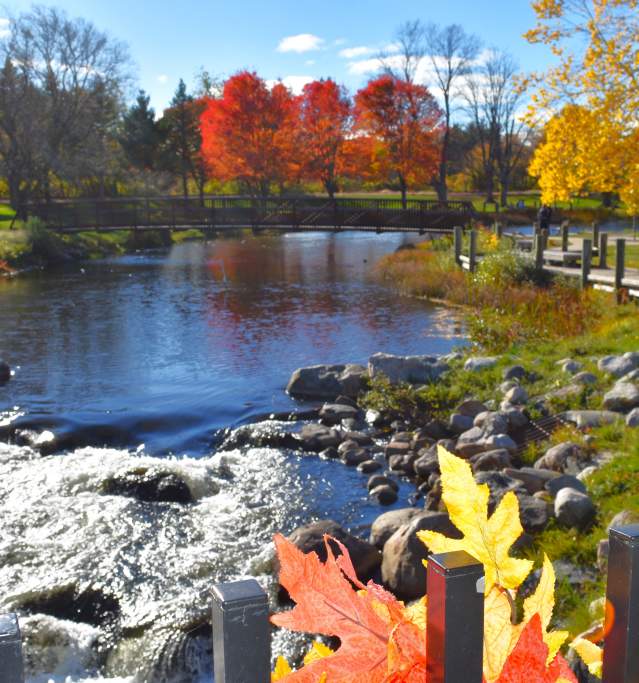 city park in the fall