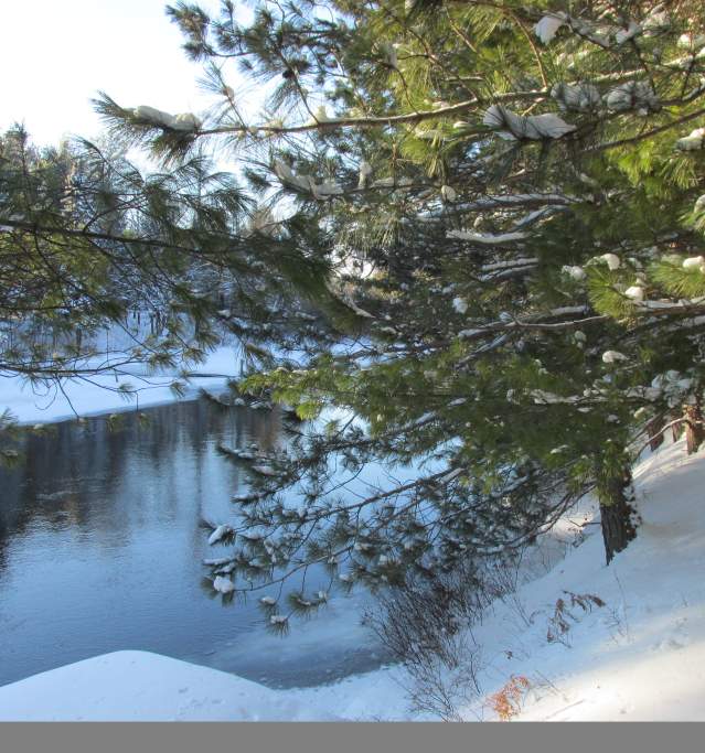 AuSable River 1980