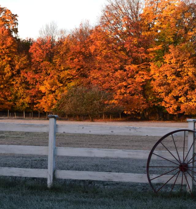 Fall at the Farm