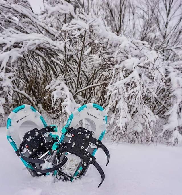 Snowshoes Hartwick Pines 2025