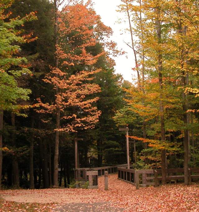 HPSP Fall Colors
