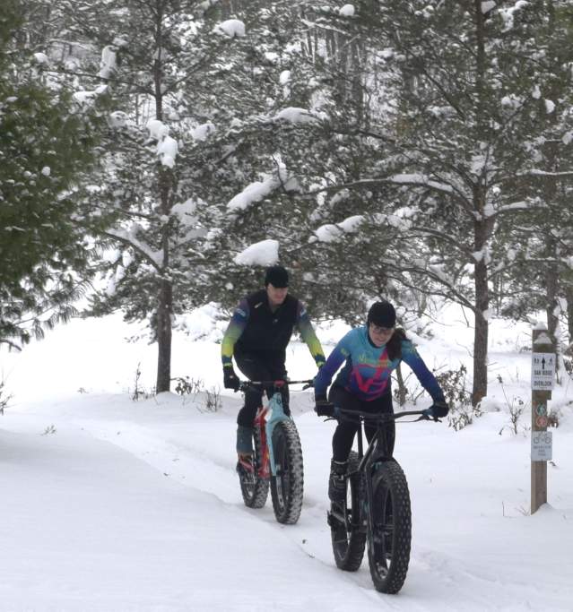 Fat Tire Bike on Trail