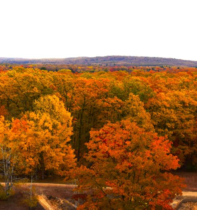 Fall View
