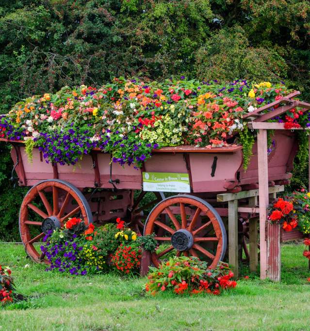 A red farmer cart filled with flowers surrounded by trees