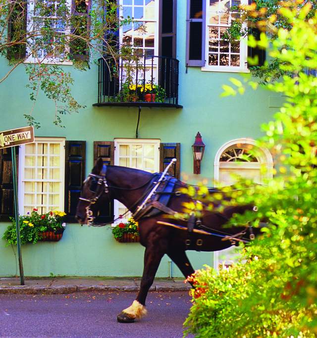 Charleston Horse and Carriage