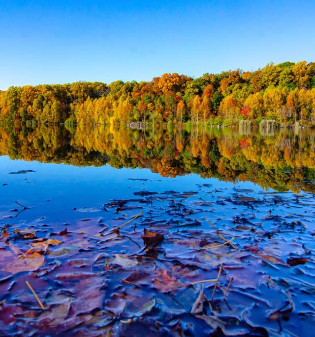 Marsh Creek in the Fall
