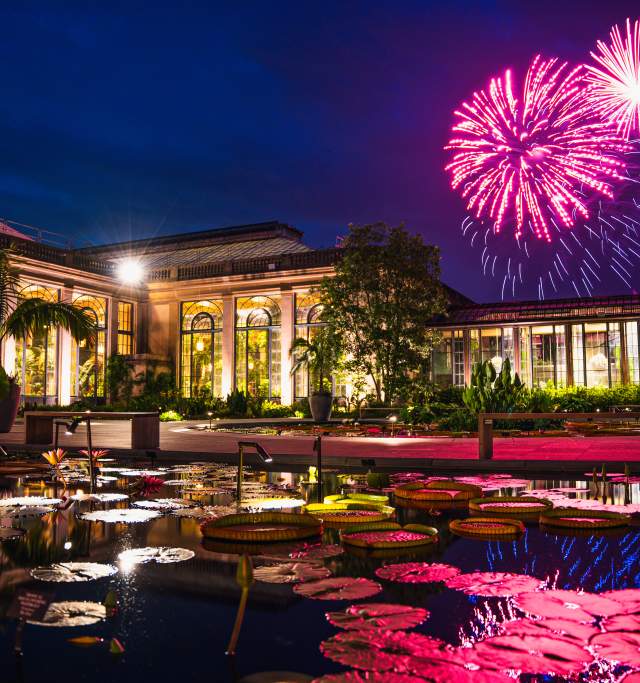 Fireworks at Longwood