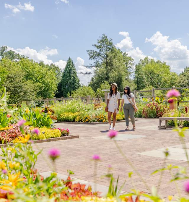 Longwood Summer 2024