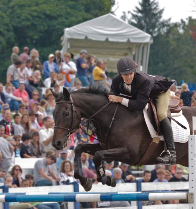 Chester County horse show