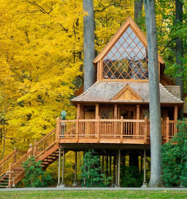 Longwood fall treehouse