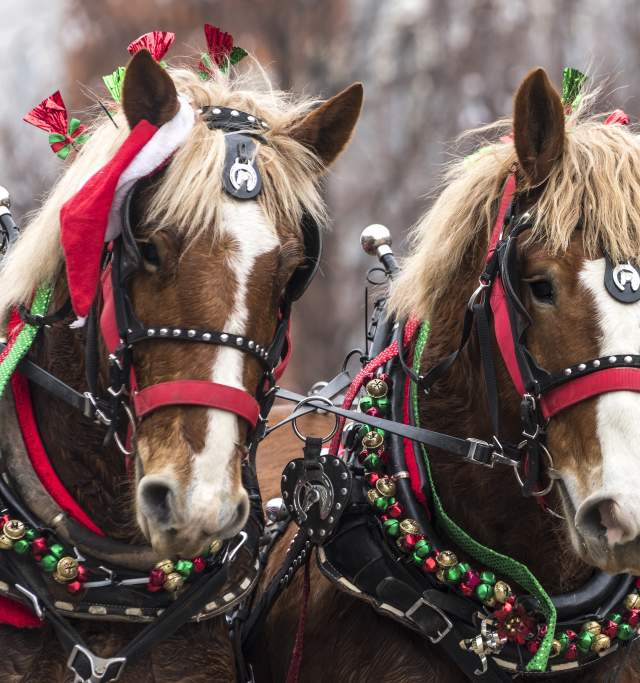 Lawrence Old-Fashioned Christmas Parade