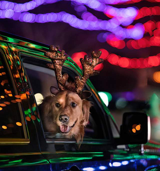 Oshkosh Celebration of Lights
