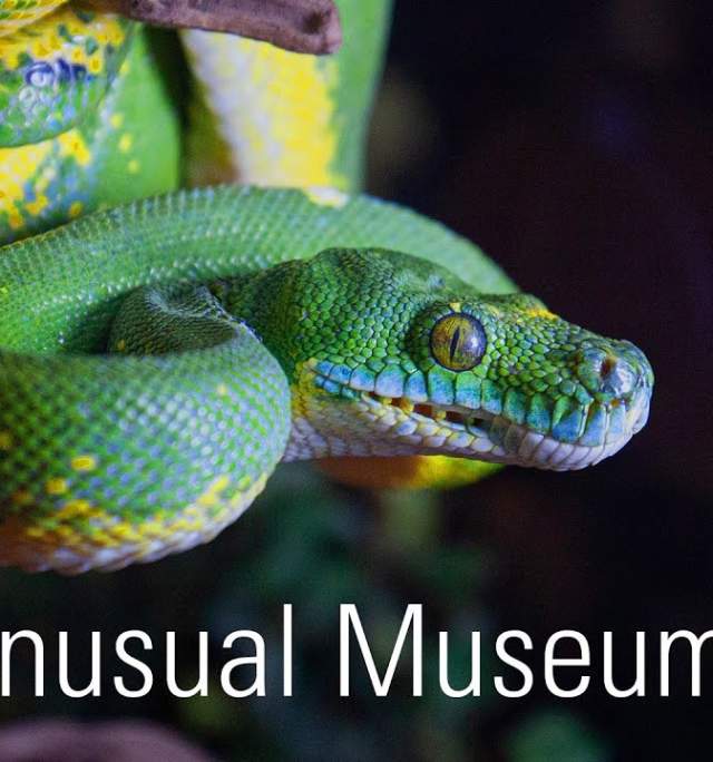 Albuquerque's Unusual Museums-A New Mexico True Experience