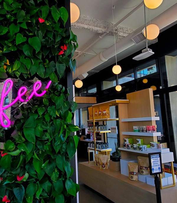 Best Coffee Shops in Palm Springs