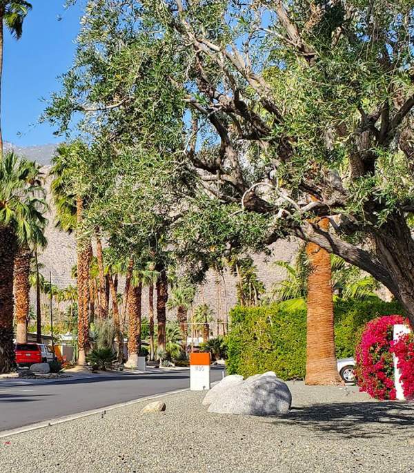 Explore Historic Deepwell Ranch Neighborhood: Self-Guided Bike Tour
