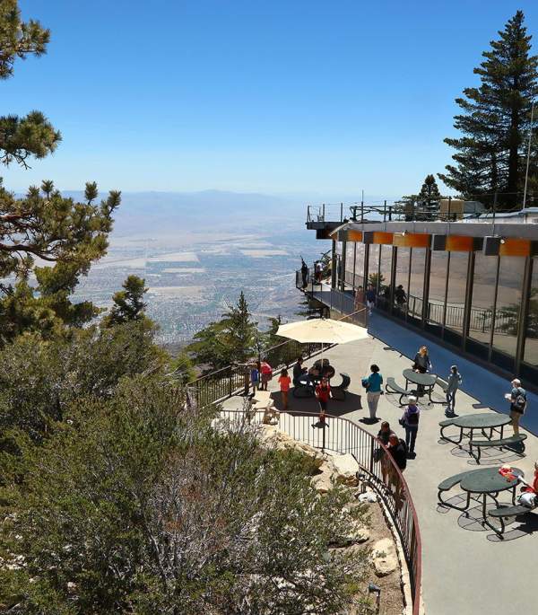 Cool Things to Do in Palm Springs This Summer