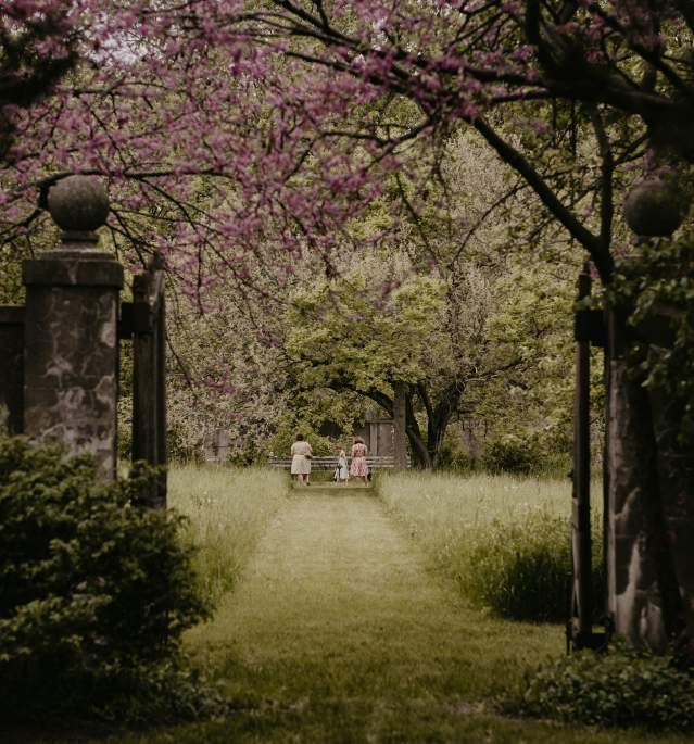 Spring Issue 2026